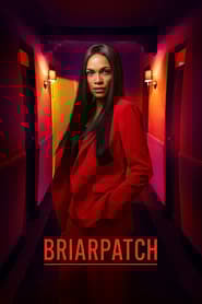 Briarpatch Season 1 Episode 3