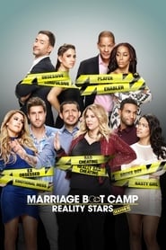 Marriage Boot Camp: Reality Stars Season 17 Episode 3